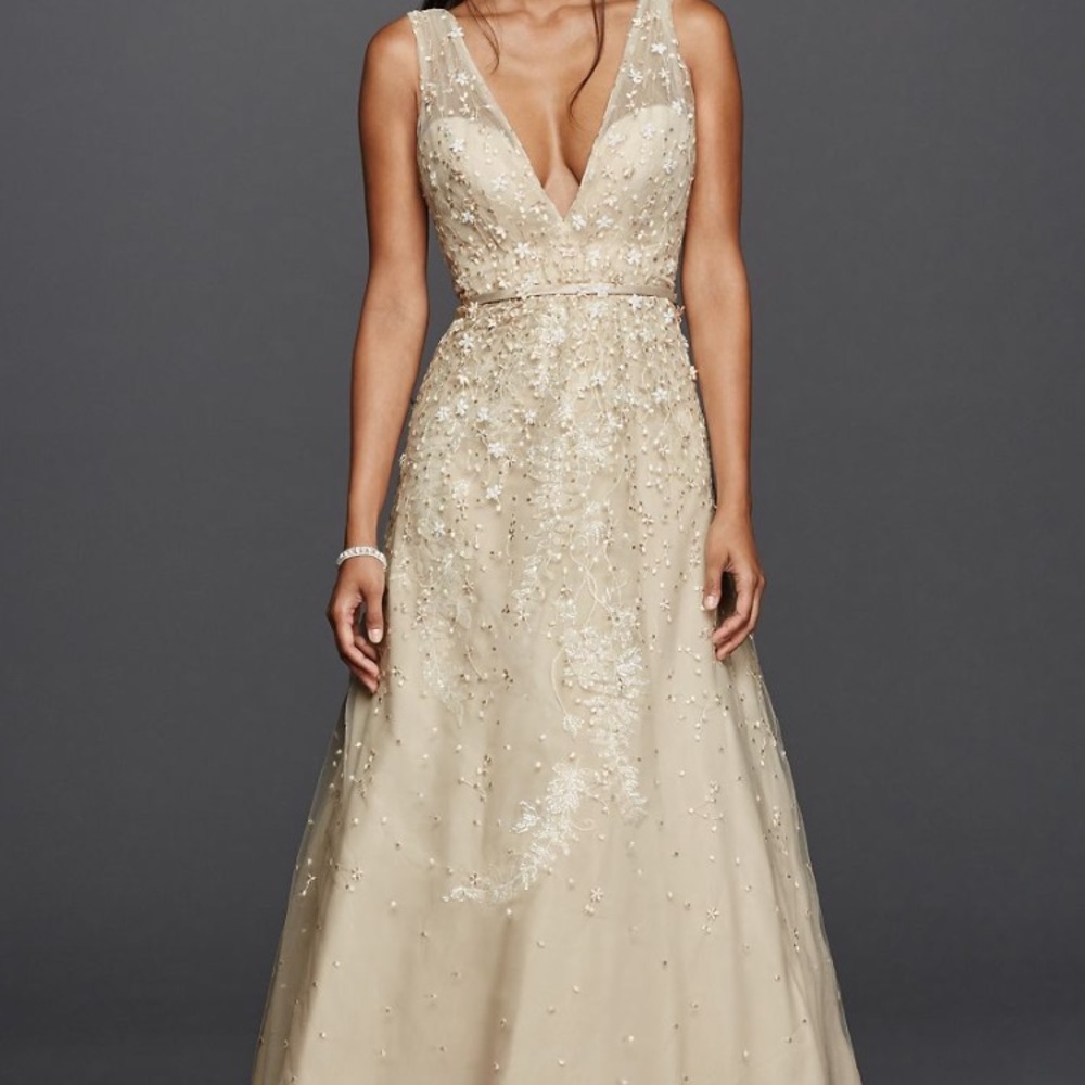 Size 18 champagne colored wedding dress